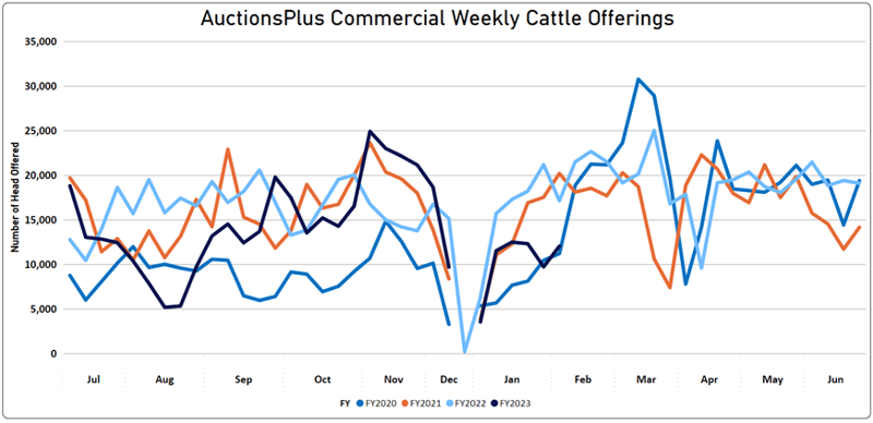 Weekly Cattle Comments 10.02.23_7