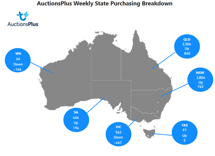 Weekly Cattle Comments 10.02.23_9