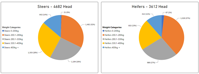 Weekly Cattle Comments 10.03.23_4