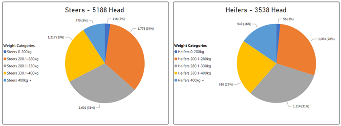 Weekly Cattle Comments_17.03.23_4