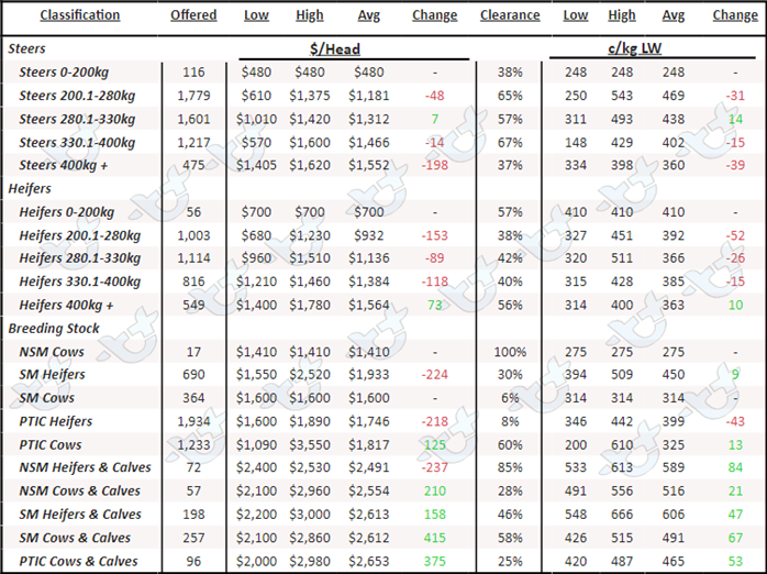 Weekly Cattle Comments_17.03.23_5