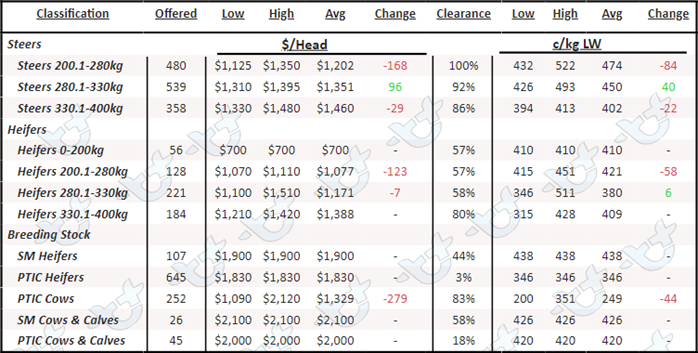 Weekly Cattle Comments_17.03.23_6