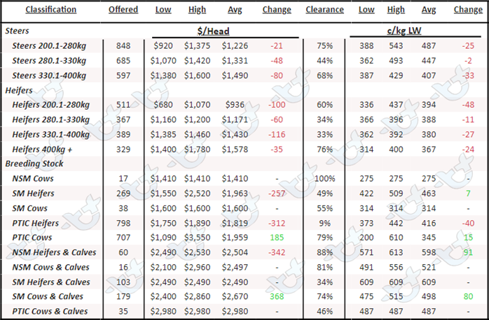 Weekly Cattle Comments_17.03.23_7