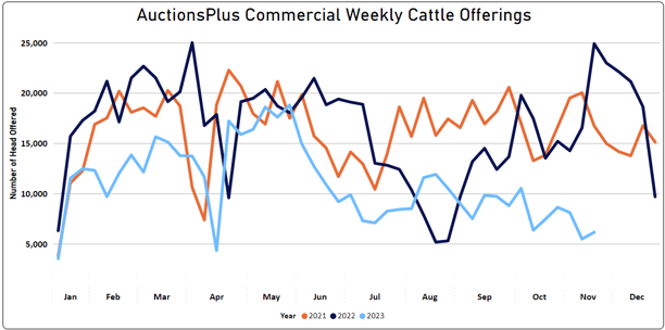 Weekly Cattle offering graph