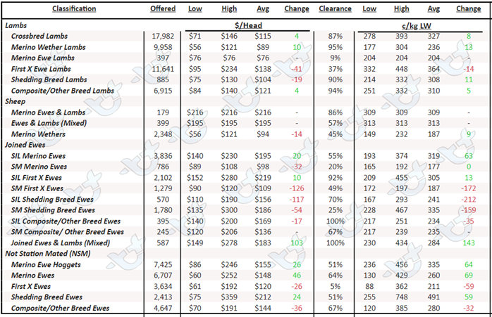 Weekly Sheep and Lamb Comments 10th February_4