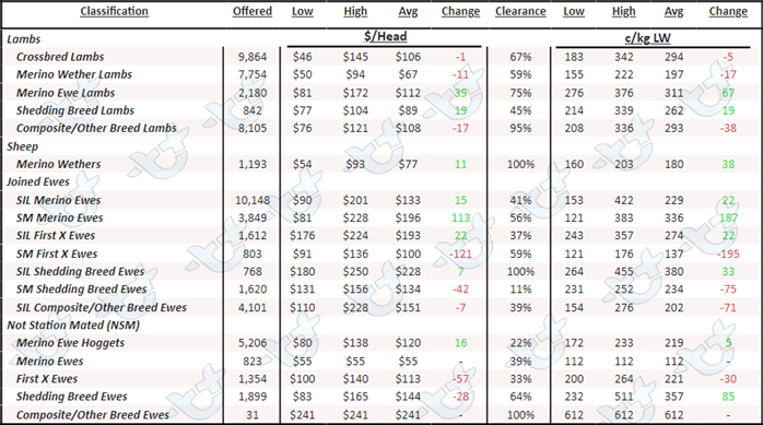 Weekly sheep & lamb comments week ending 31st March_4