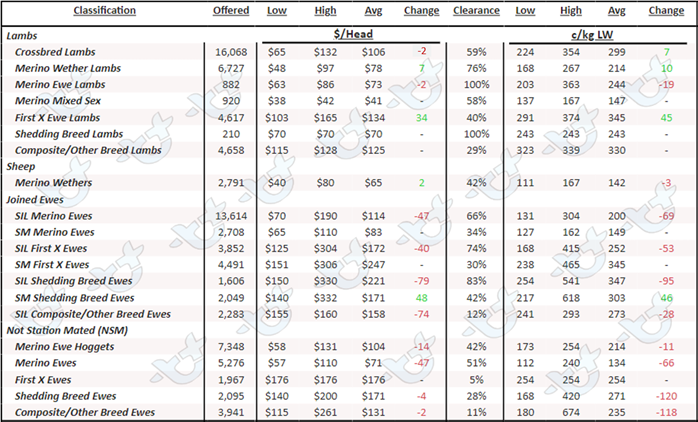 Weekly sheep & lamb comments week ending Friday 24 March_4