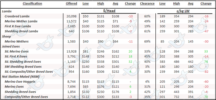 Weekly sheep and lamb comments - week ending 17th March_4-1