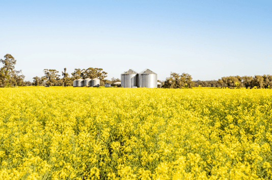 Well known corporate lists major holding as fifth generation farmers sell up_1