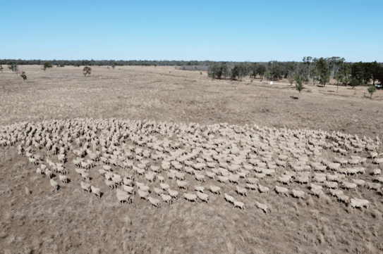 Well known corporate lists major holding as fifth generation farmers sell up_3