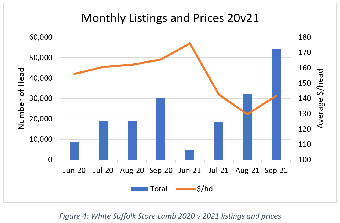 White Suffolk Store Lamb 2020 v 2021 listings and prices