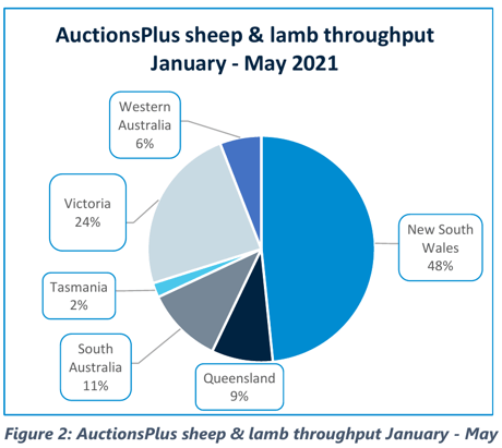 Winter chill yet to take the heat off the lamb market 2