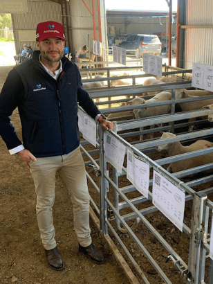 Wyn at a lamb sale