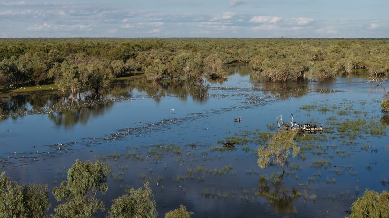 Yappar River and Ellavale portfolio_QLD Colliers 1