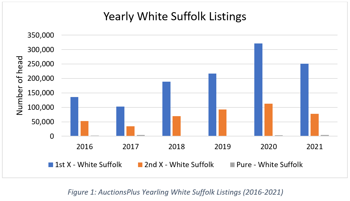 Yearly White Suffolk Listings (2016-2021)