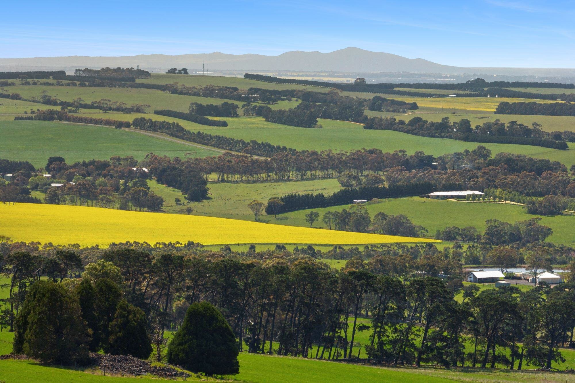 aroona-station