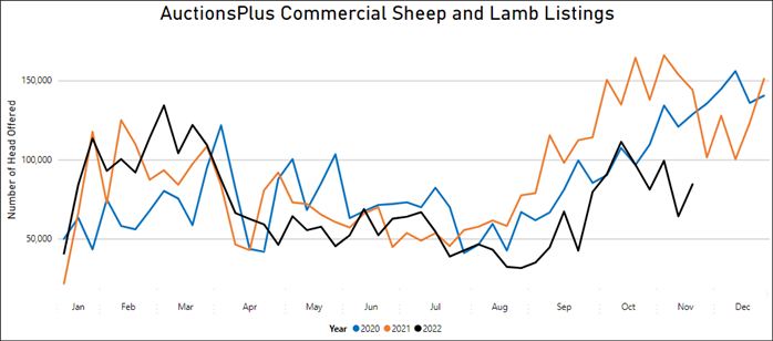 aucionsplus commercial sheep and lamb listings 11.11.22