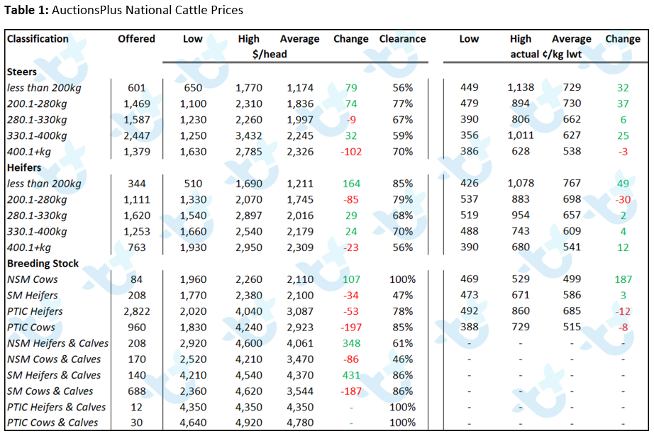 auctionsplus cattle comments 28.01.22 4