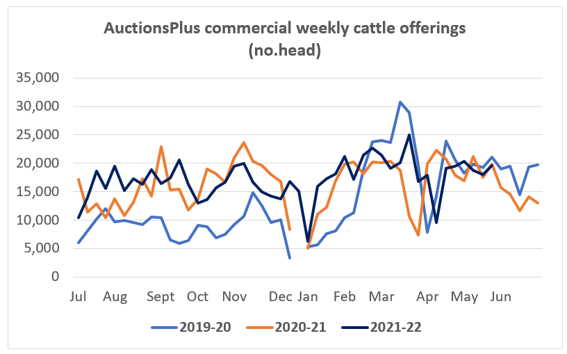 auctionsplus commercial weekly cattle offering 27.5.22 market comments