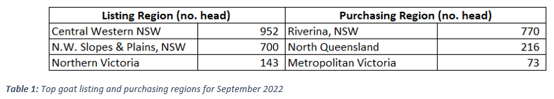 auctionsplus market comments goat comments september 27.9.22