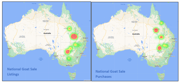 auctionsplus market comments national goat listings and purchases heat map