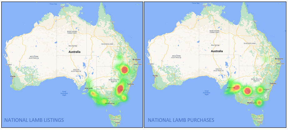 auctionsplus market comments national lamb listing and purchases  22.7.22