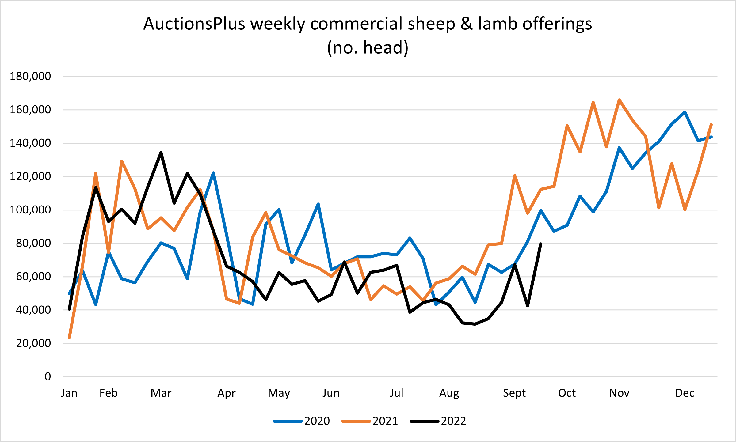 auctionsplus market comments sheep and lamb commercial offerings 23.9.22