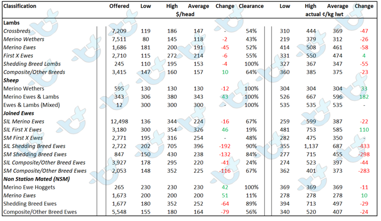 auctionsplus market comments sheep table 1 17.6.22