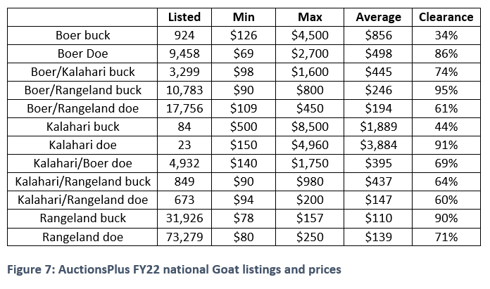 auctionsplus marketpulse 7 20.7.22