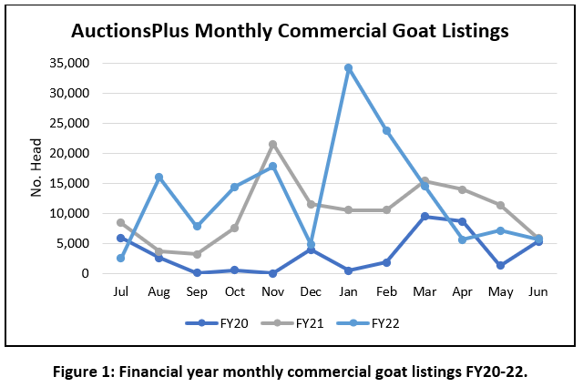 auctionsplus marketpulse fig 1 something to buck about 1 20.7.22