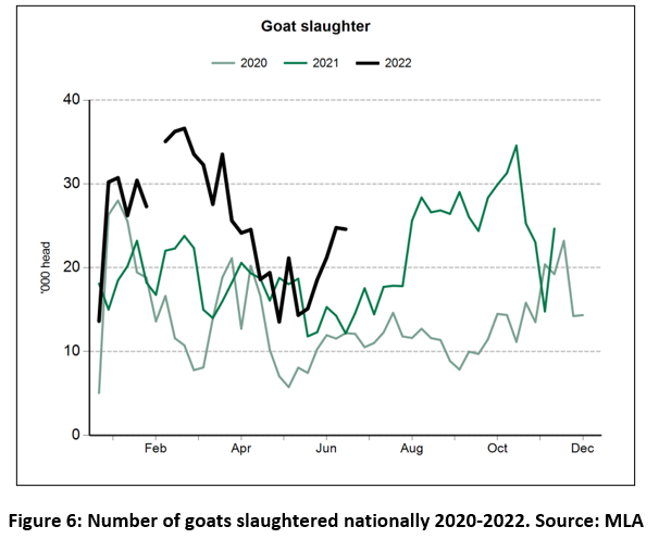 auctionsplus marketpulse fig 6 something to buck about 1 20.7.22