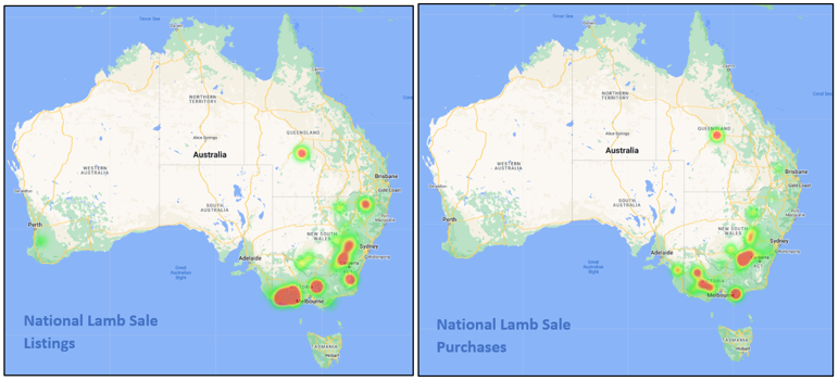 auctionsplus marketpulse national lamb listings and purchases 10.6.22