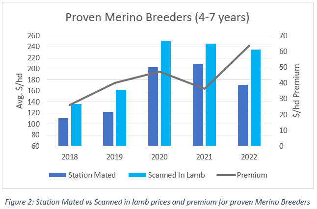 auctionsplus marketpulse proven merino breeders 26.5.22 chart