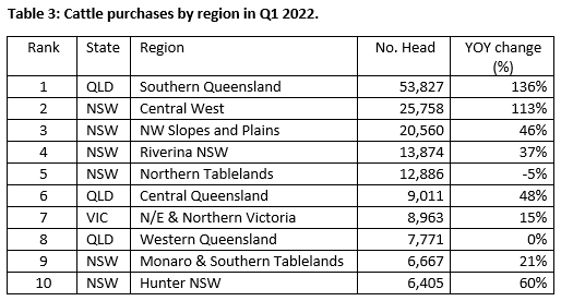 auctionsplus marketpulse table 3 cattle purhases by region in Q1 2022 12.5.22