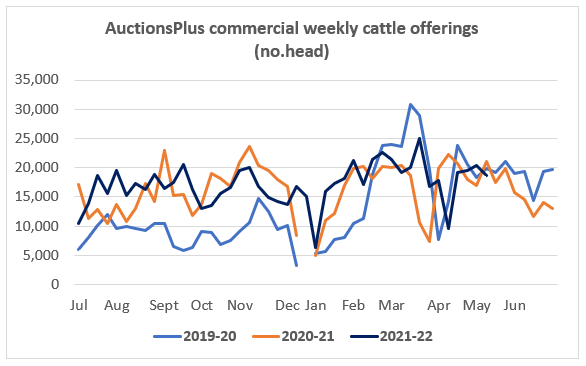 auctionsplus marketpulse weekly commercial cattle graph 13.5.22