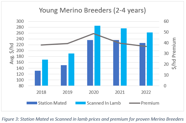 auctionsplus marketpulse young merino breeders 26.5.22 chart