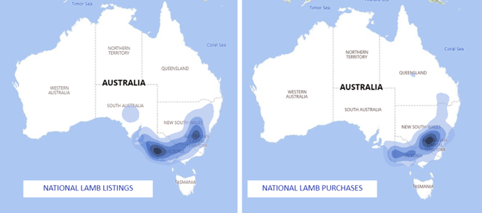 auctionsplus national lamb listings and purchases 18.11.22