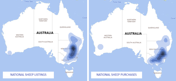 auctionsplus national sheep listings and purchases 25.1.23