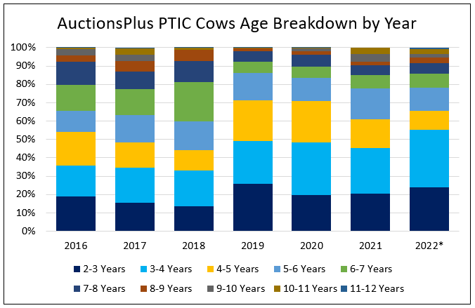 auctionsplus ptic cows age breakdown by Year 15.12.22