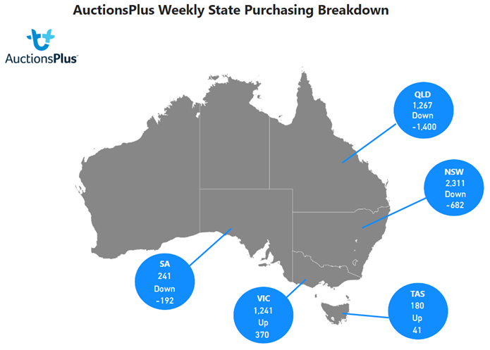 auctionsplus weekly state purchasing breakdown 27.1.23 cattle