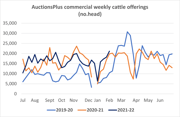 cattle comments 04.02.22 3