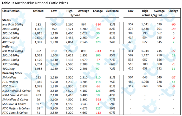 cattle comments 04.02.22 4