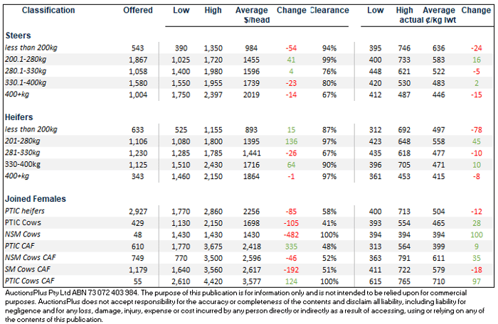 cattle comments 05.03.21