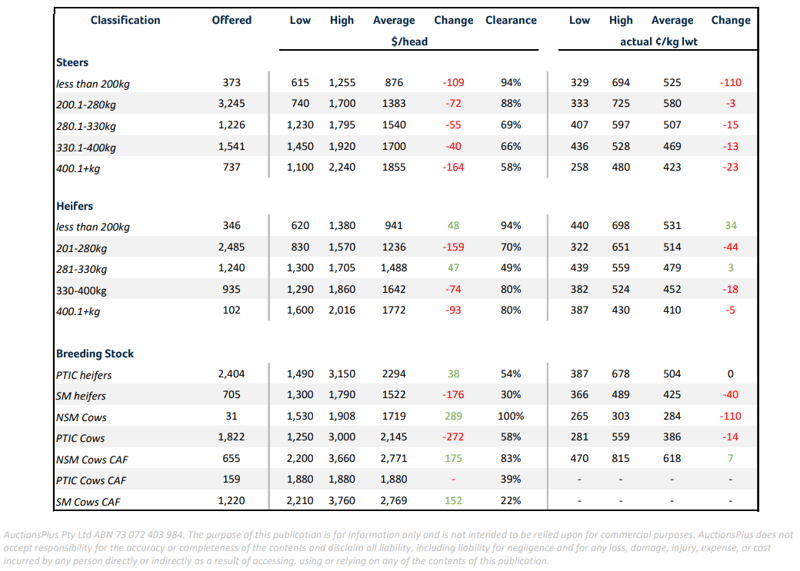 cattle comments 12.03.21