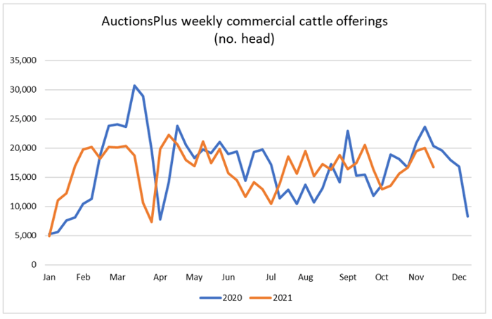 cattle comments 12.11.21 3