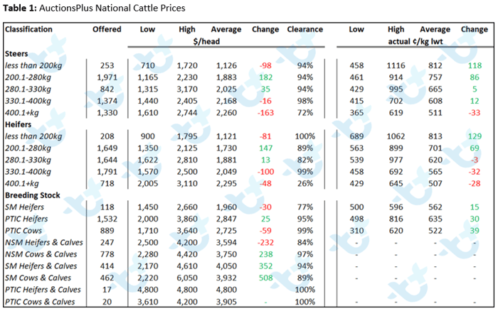 cattle comments 12.11.21 4