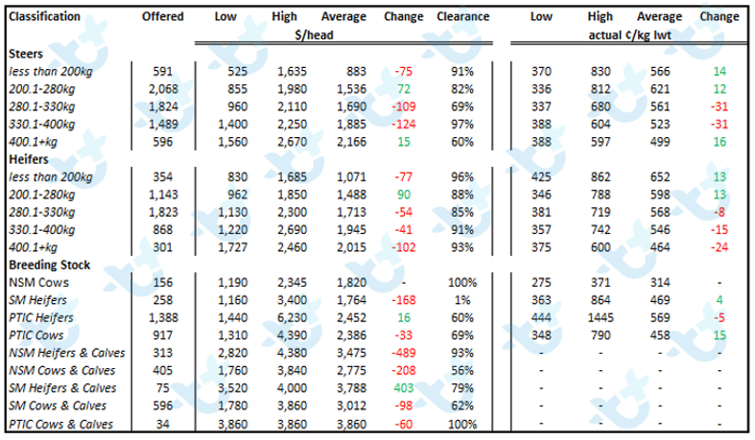 cattle comments 13.08.21