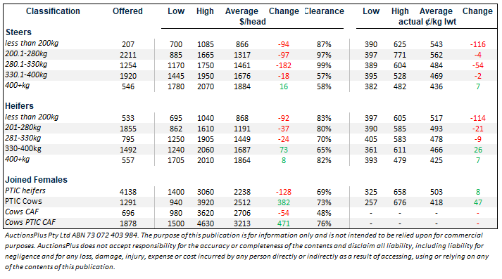 cattle comments 15.02.21