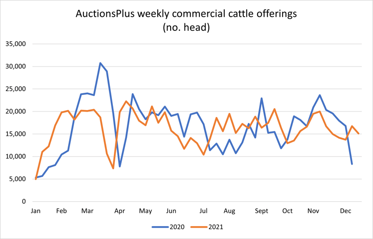 cattle comments 17.12.21 3