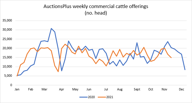 cattle comments 19.11.21 8